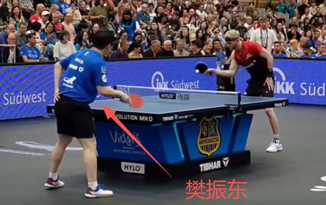 关于德国乒乓球队爆冷波兰乒乓球队,樊振东三分雨点燃全场的信息 关于德国乒乓球队爆冷波兰乒乓球队,樊振东三分雨点燃全场的信息