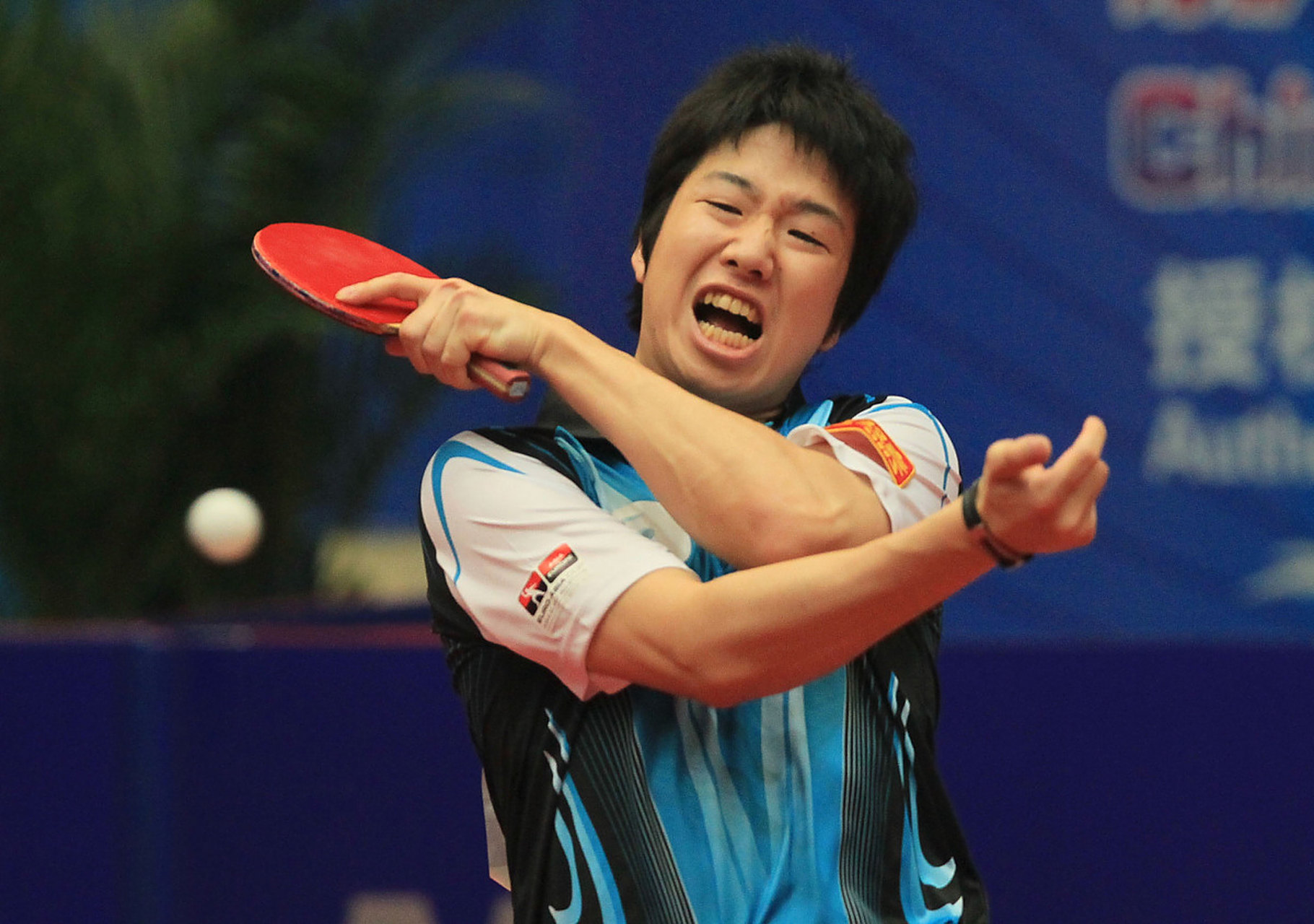奥地利乒乓球队绝杀韩国乒乓球队，水谷隼高光表现