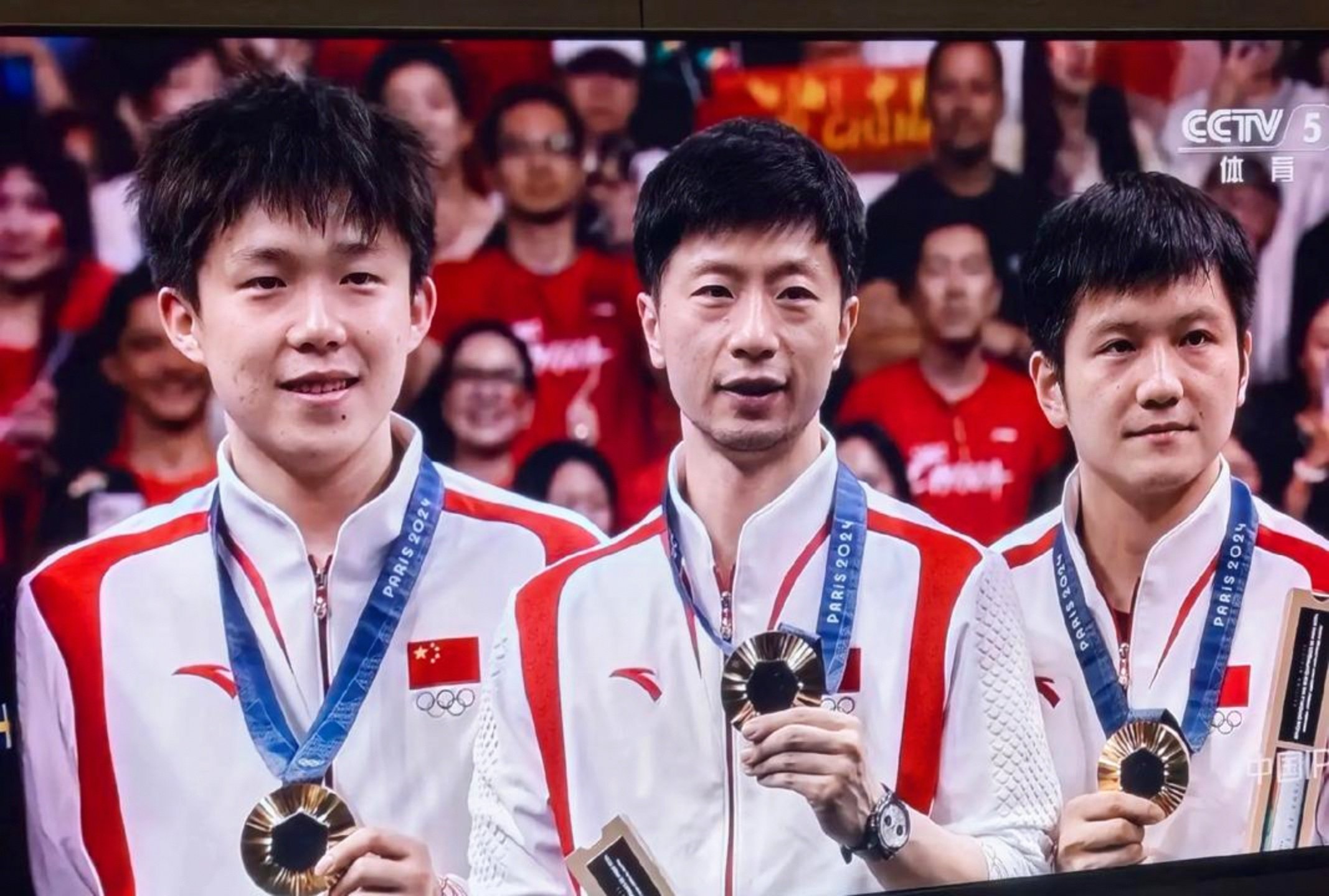 瑞典队横扫日本队，马龙点燃赛场