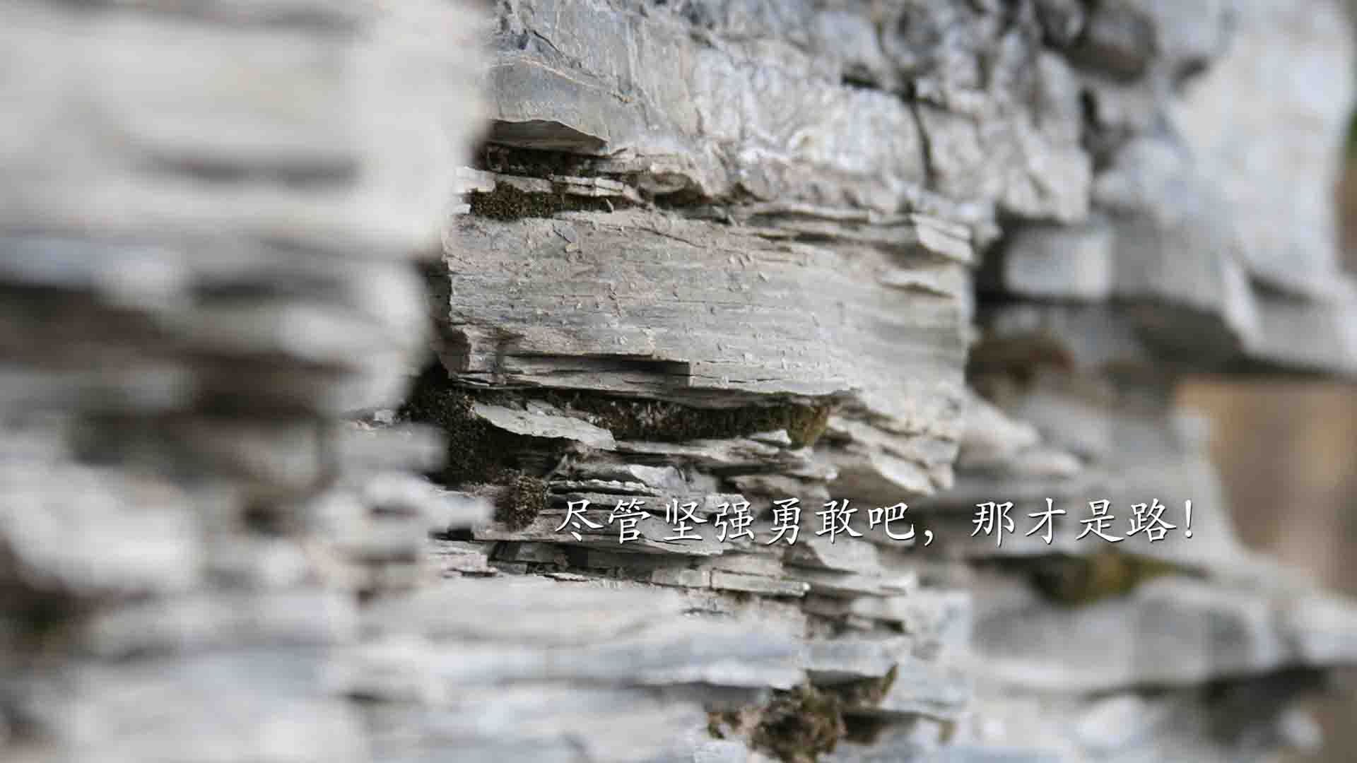 逆袭的序曲,威廉姆斯碾压法拉利,拉塞尔在银石点燃疯狂赛场