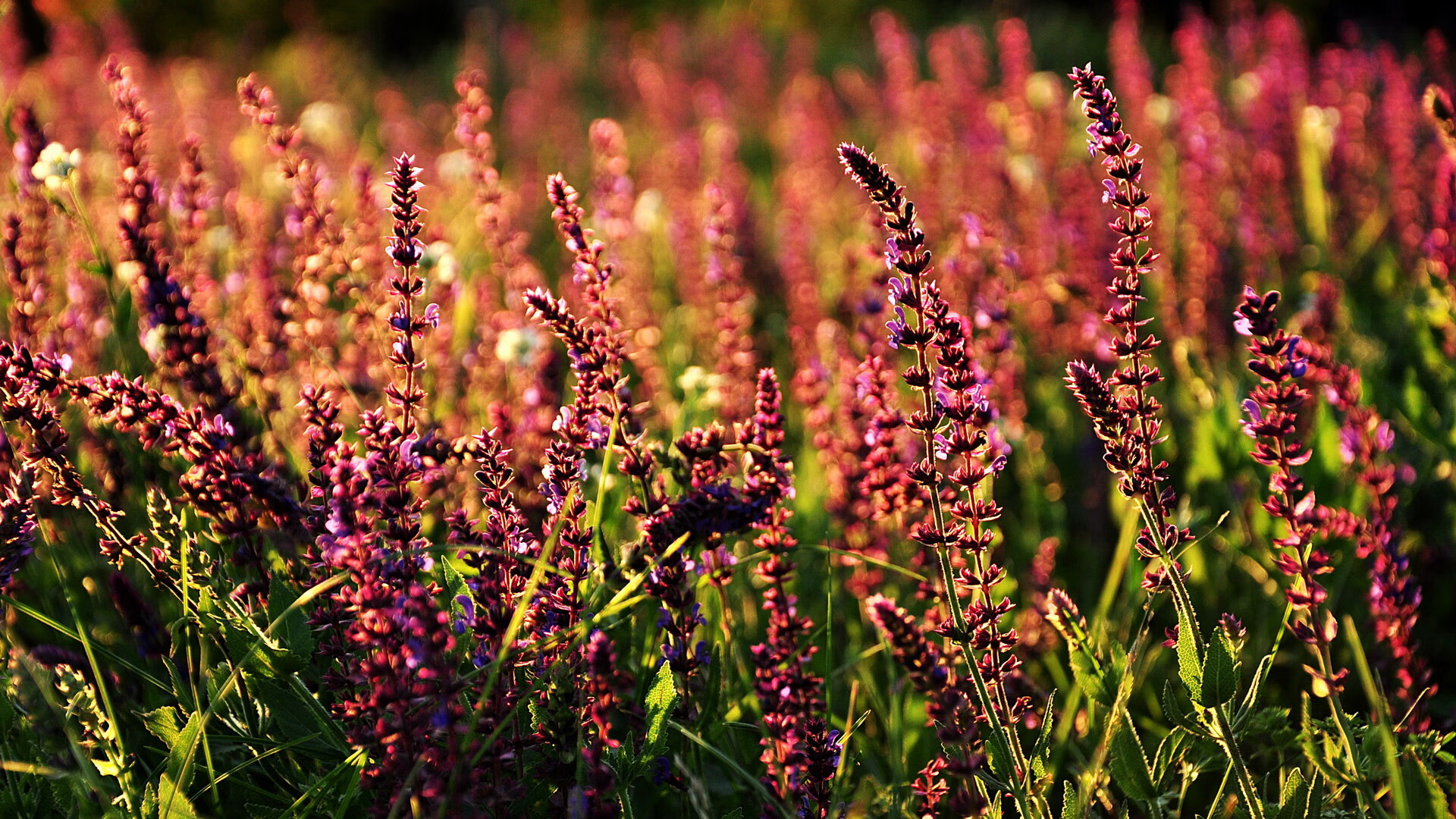 欧冠淘汰赛之夜,哈登用篮球哲学完成跨界封神