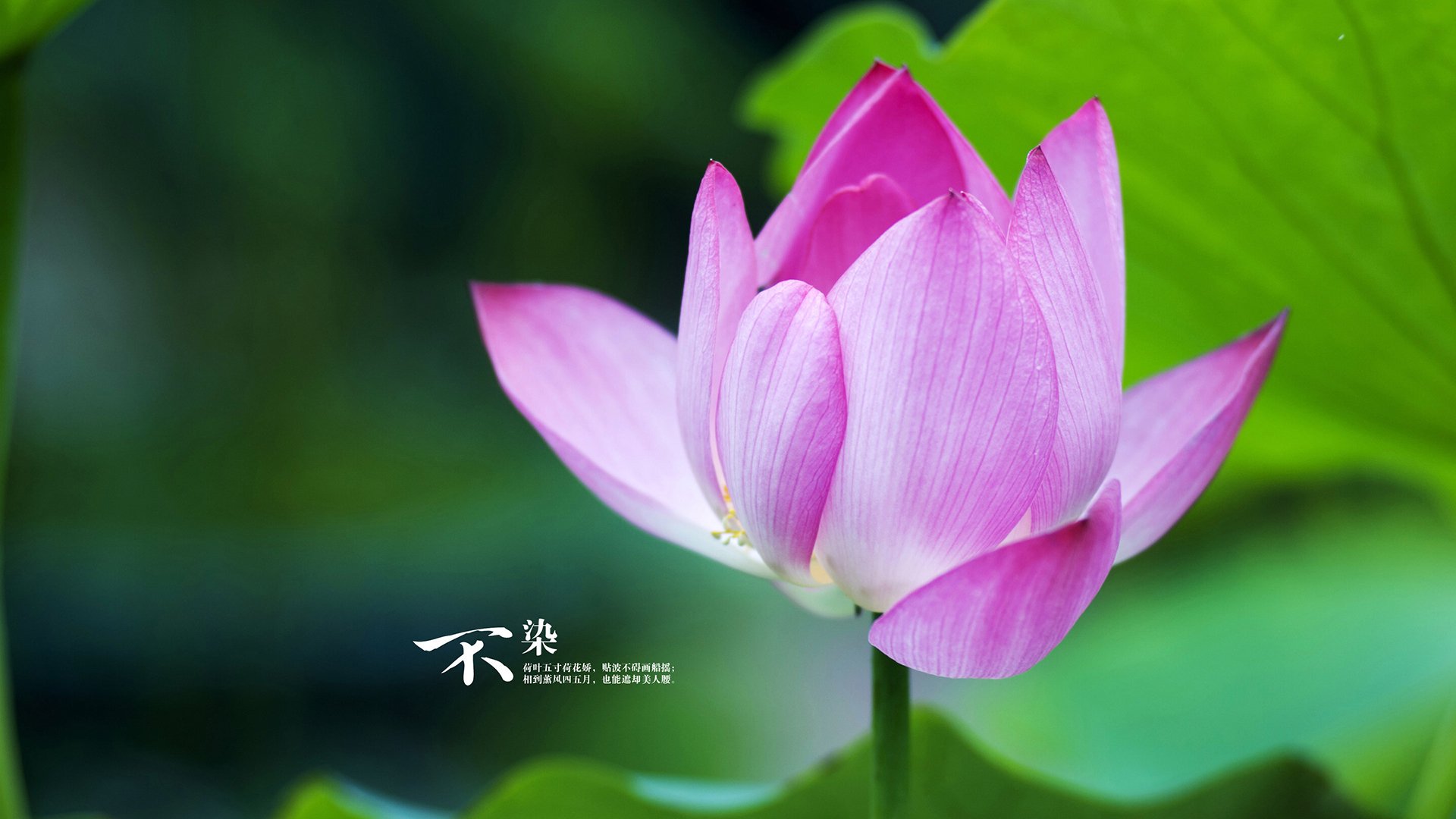 欧冠淘汰赛之夜,哈登用篮球哲学完成跨界封神