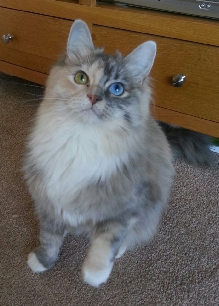 马克西用冰与火的节奏,让鹈鹕沉没在快船的航道—个人节拍器如何调校了一场团队溃败?