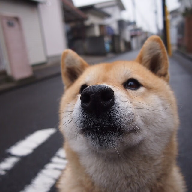 新疆队斩落热火,当詹姆斯成为乌鲁木齐的传说