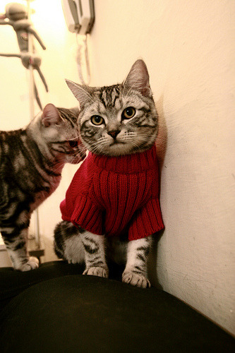 末节狂飙19分!哈利伯顿导演窒息反扑,吉林上演20分惊天逆转