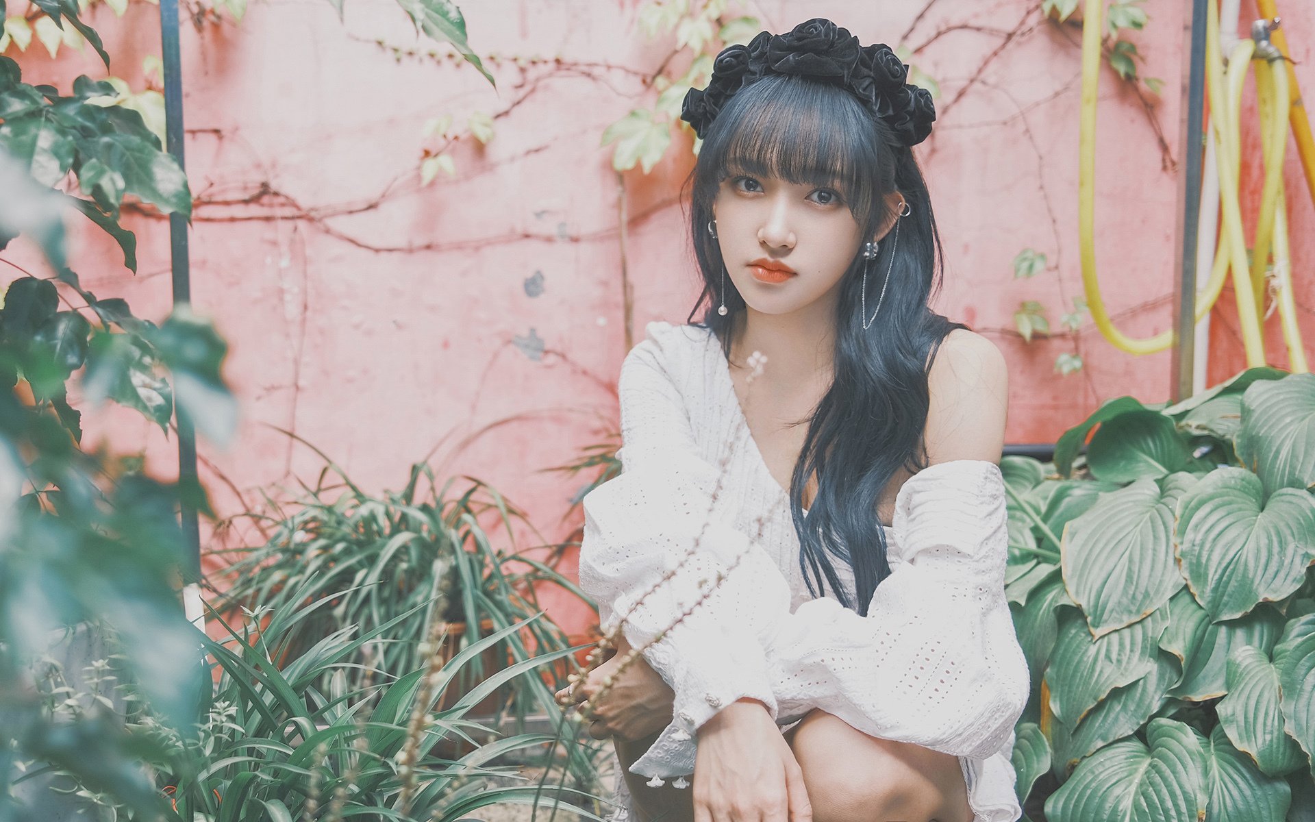 当芝加哥公牛遇上浙江队，为何班凯罗成为了唯一无解的方程式？