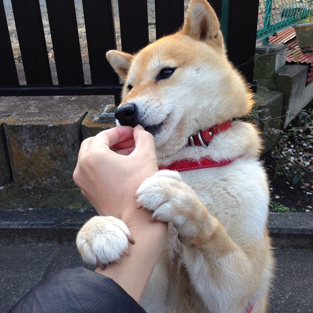 唯一性，恩比德—这场西部对决的教科书为何不可复制？