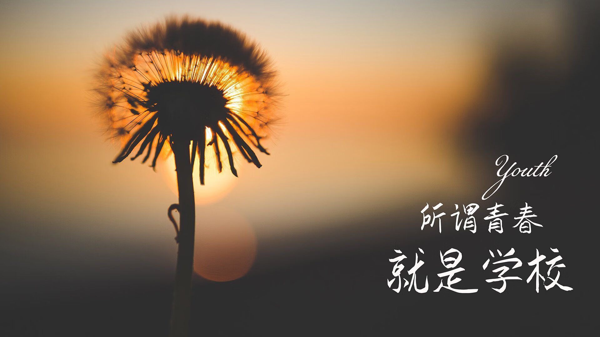 一剑封喉,一战封神,2026世界杯H组,斯洛伐克替补奇兵书写最不可复制的剧本