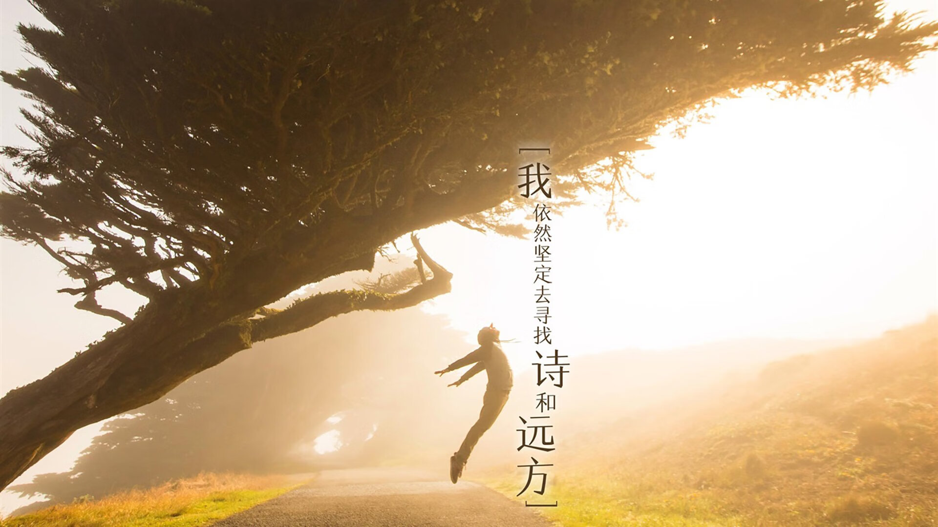 慕尼黑之巅,2026世界杯C组的一场世纪碰撞,德国险胜日本,孙兴慜用孤勇写下不朽诗篇